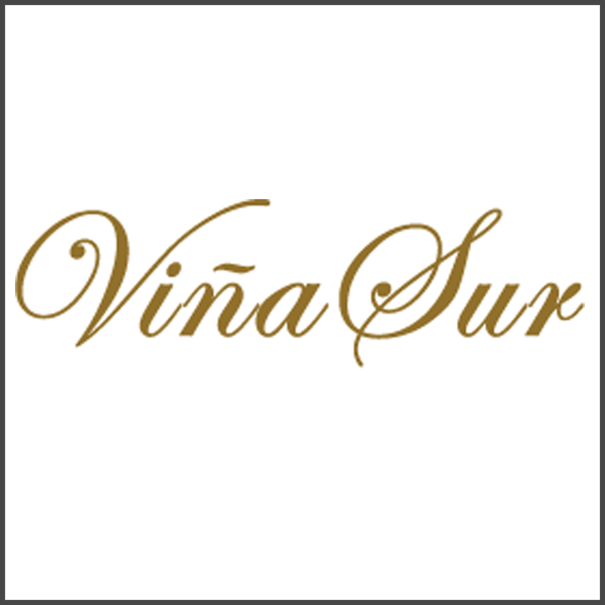 Viñasur Logo Vinasur